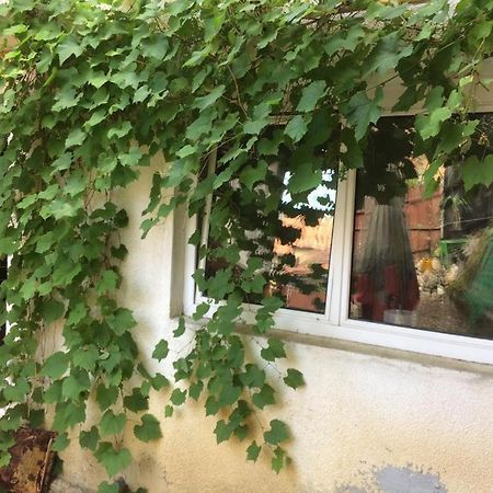Casa Cu Curte Hotel Braşov Eksteriør billede