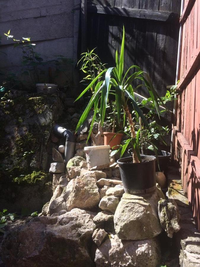 Casa Cu Curte Hotel Braşov Eksteriør billede