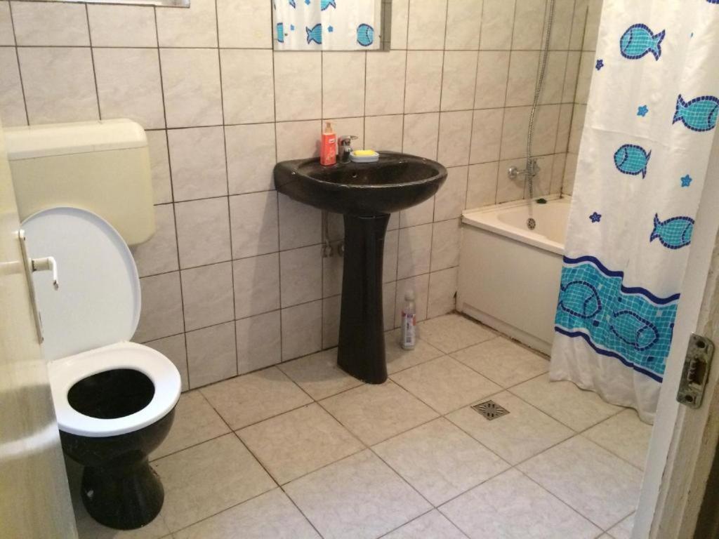 Casa Cu Curte Hotel Braşov Eksteriør billede